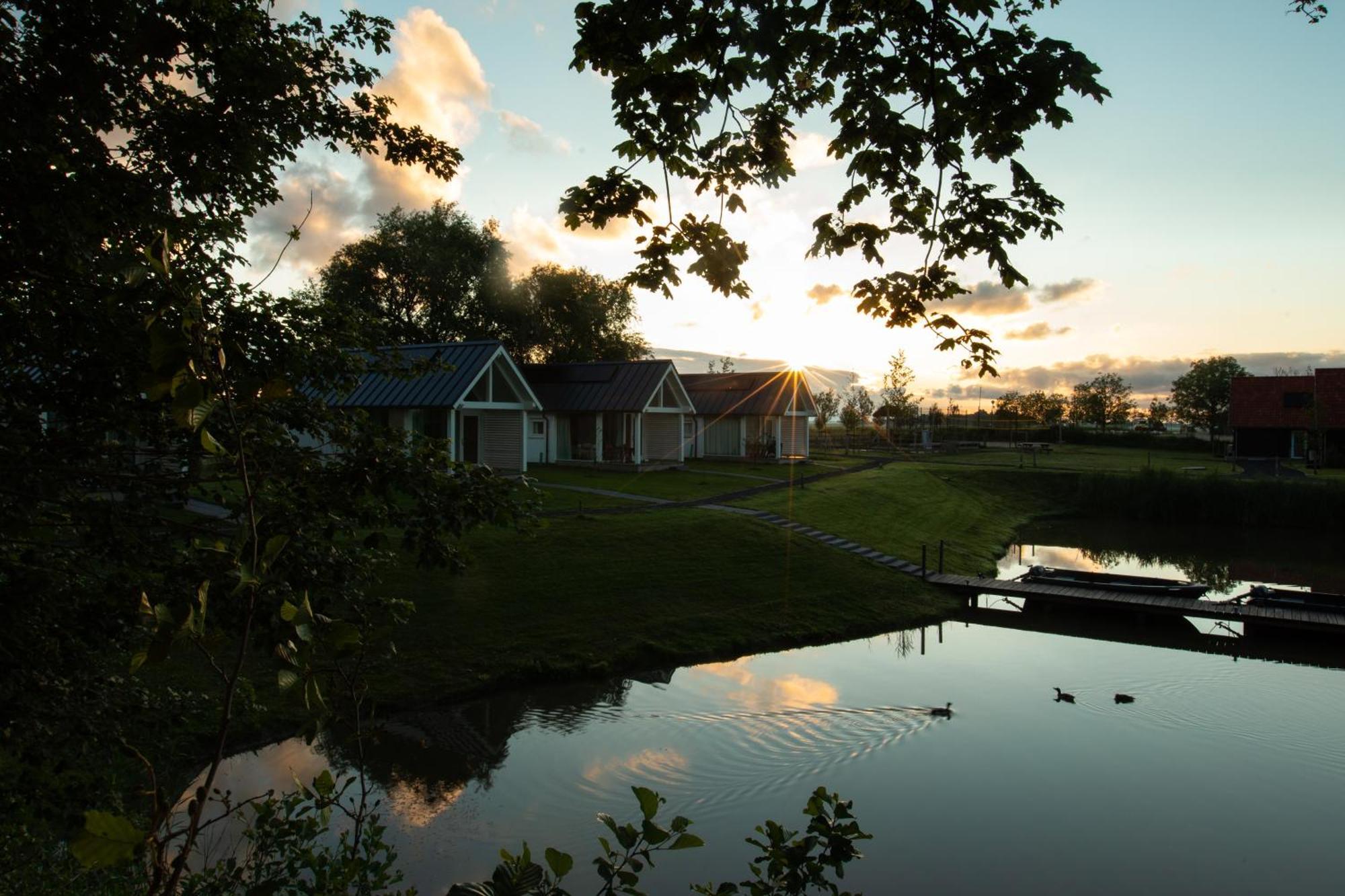 Boomhuis Met Optioneel Wellness - Vakantiepark De Schreiershoek Доккум Экстерьер фото